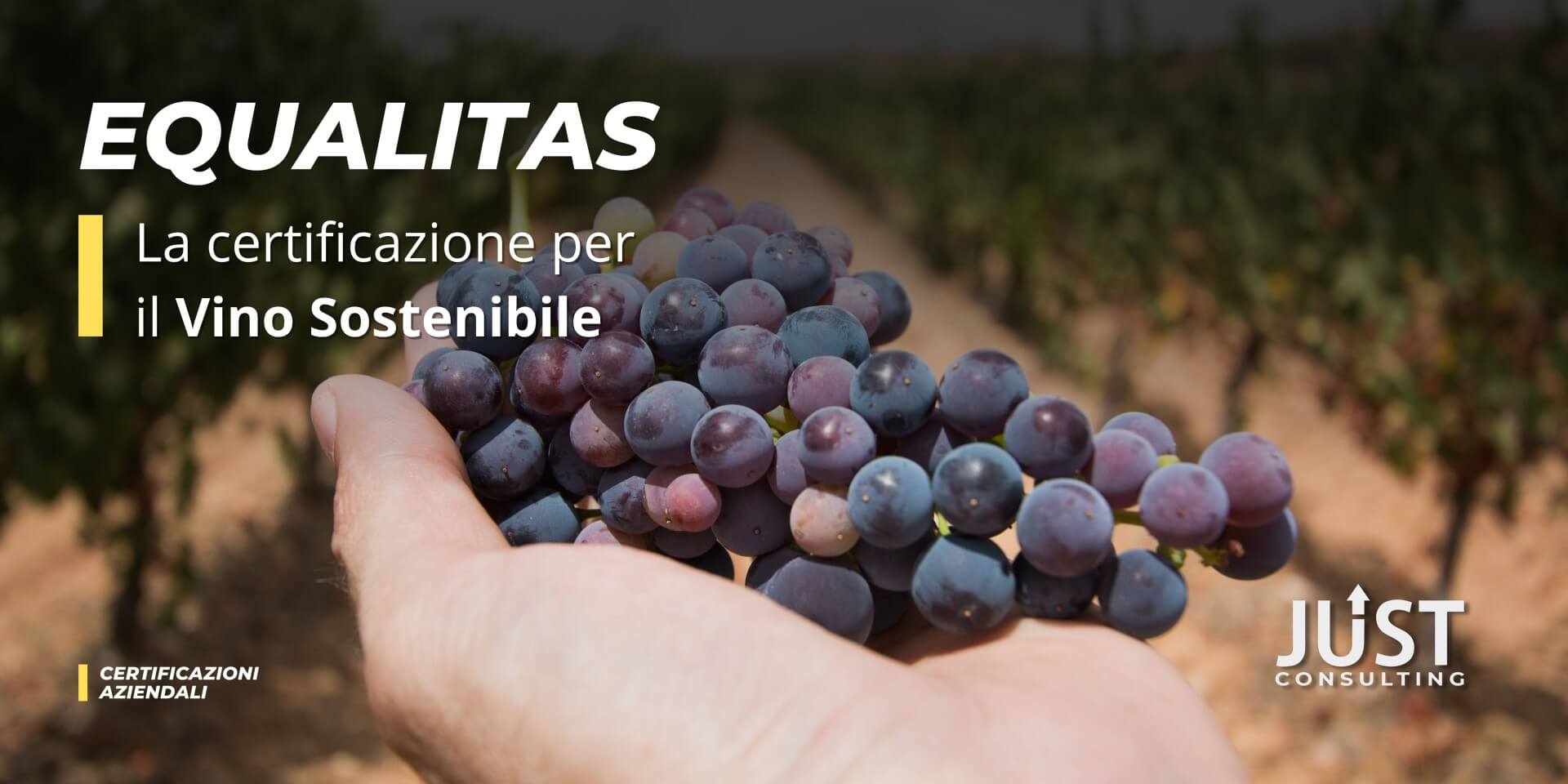 Equalitas certificazione vino sostenibile